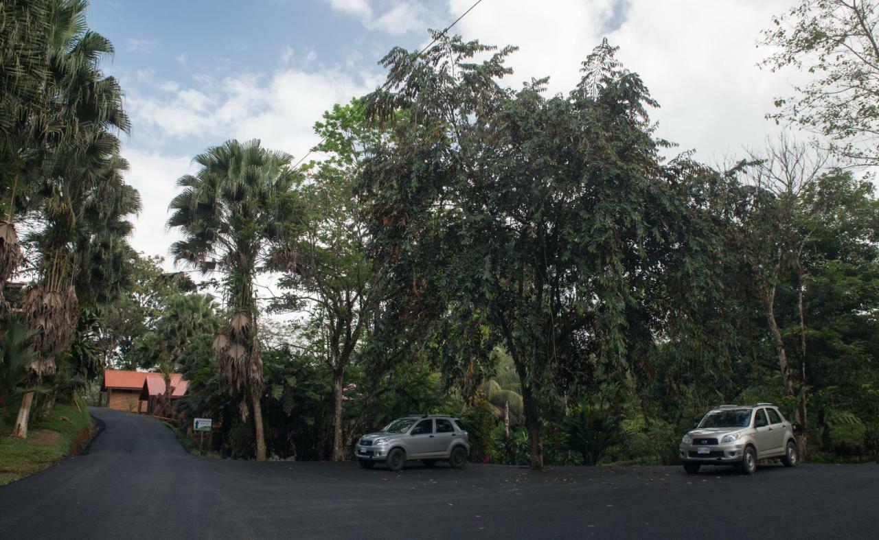 Hotel Pedacito De Cielo Boca Tapada Eksteriør bilde